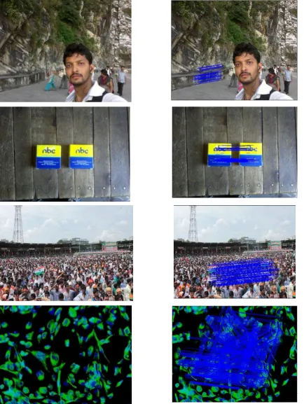 Figure 5: The forgery images are in the left column. The right column show the detect region