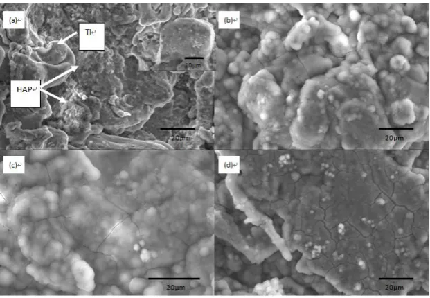 Figure 1. Cyclic voltammogram for cold sprayed Ti and 20wt% HAP/Ti composite coatings