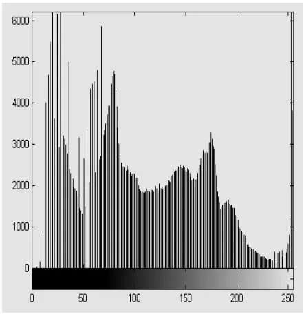 Fig 8: Histogram of original image 