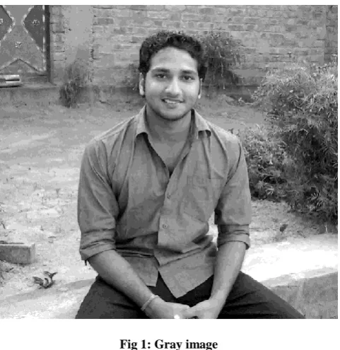 Fig 1: Gray image 
