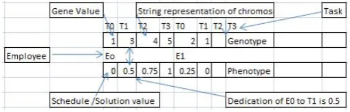 Fig. 4.Chromosomal representation in GRGA.