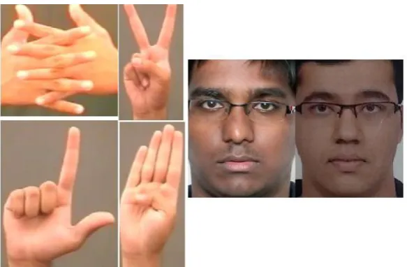 Fig 1: Hand and Face training images 