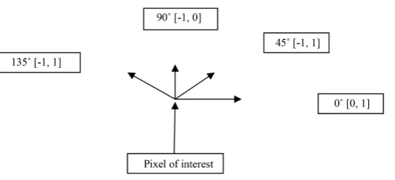 Figure 2. Adjacency of pixel in four directions (horizontal, vertical, left and right diagonals)