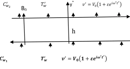 Fig 1: Physical model of the Problem 