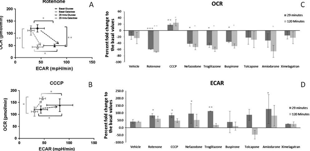 Fig. 5. Oxygen consumption rate (OCR) and extra cellular acidiﬁcation rate (ECAR) in HepG2 cells in response to drug exposure