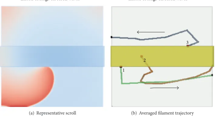 Figure 7: Ridge simulation. (a) A snapshot from the simulation where the SW was initiated close to the ridge