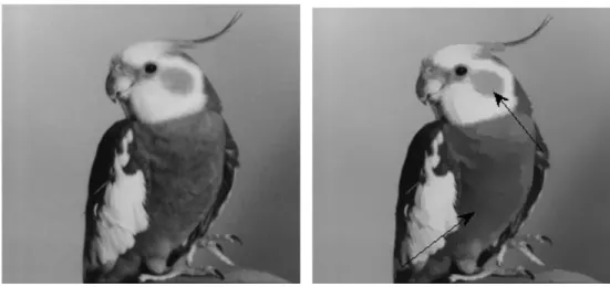 Figure 16. Graphics of Entropy and Em vs number of iterations (Bird) 