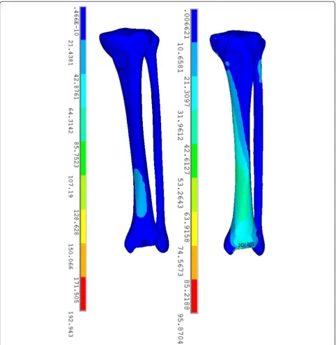 Fig. 5 Stress distribution on the plate-screw model (left) and screw fixation model (right) with the exclusion of implants