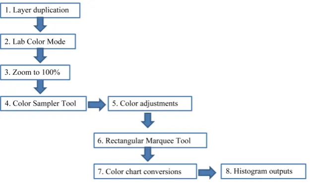 Figure 1. Simple 2-point (white-black) calibration procedure.                     