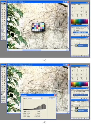 Figure 2. (a) Brightness/Contrast adjustments in Lab Color mode based on a 2-point calibration using a color chart; (b) Selection of area behind color chart with histogram output after calibration