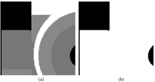 Figure 1. Effect of multiplying gray level image by a number. (a) Original image, (b) original image  multiplied by a large value