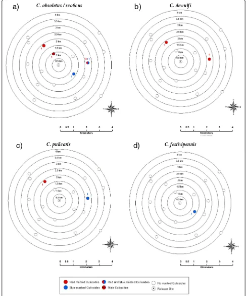 Figure 2 Spatial distribution of the species of Culicoides recaptured during the mark-release-recapture in Bala; where a) C obsoletus/scoticus; b) C