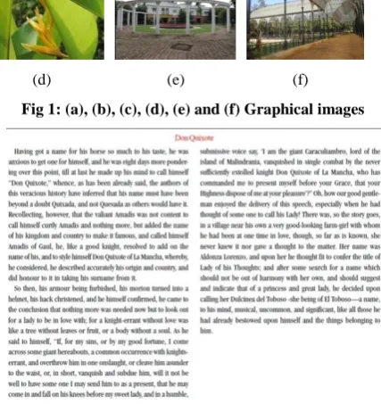 Fig 3: (a) Original graphical image, (b) Sound file (zoomed                 view) and (c) Retrieved graphical image 