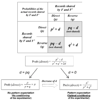 Figure 6. Shift from no conditioning to conditioning of the experimenter. The conditioning process is more or less complete; this is mathematically translated by varying the degree of independence of the future outcomes to be observed by F and F’