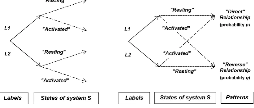 Figure 1. Expectation of patterns by the experimenter after classical conditioning. The two “labels” (L1 vs