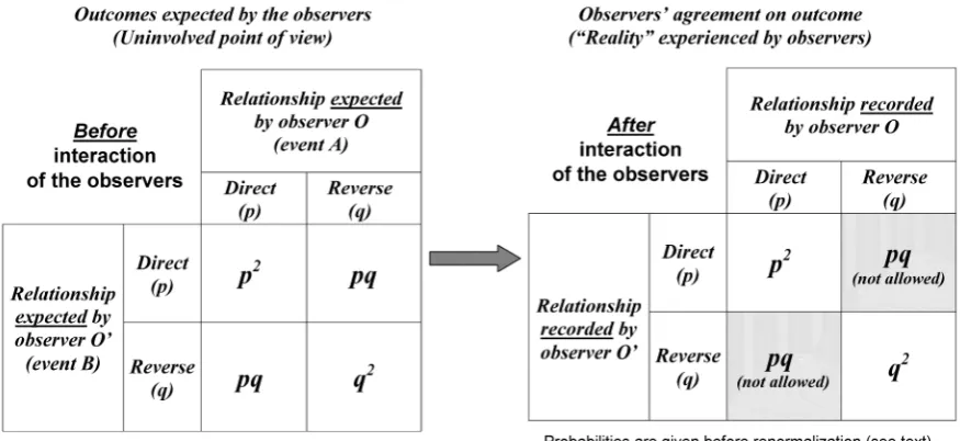 Figure 3. The two spaces of the modelling. The left panel describes the relationship expected by the observers O and O’ in the probabilistic space described by the uninvolved agent P