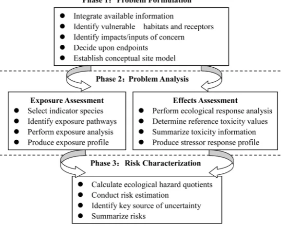 Figure 1. The three phases of healthy risk assessment [19].                   