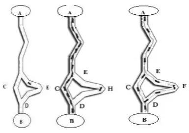 Figure 2. Source to Food Trail of Ants 