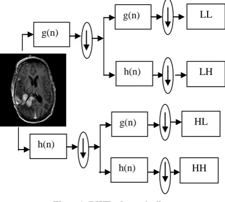 Fig. 1 illustrates DWT schematically. The original image is  processed  along the x and y direction by h(n)and g(n)filters which, is the row representation of the original imag As a result of this transform there are 4 sub-band (LL, LH, HH, HL) images at e