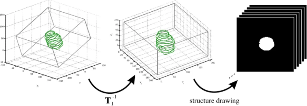 Figure 3: Illustration of structure processing: first, contours provided in the patient coordinate system (left) are transformed to the image coordinate system (center)