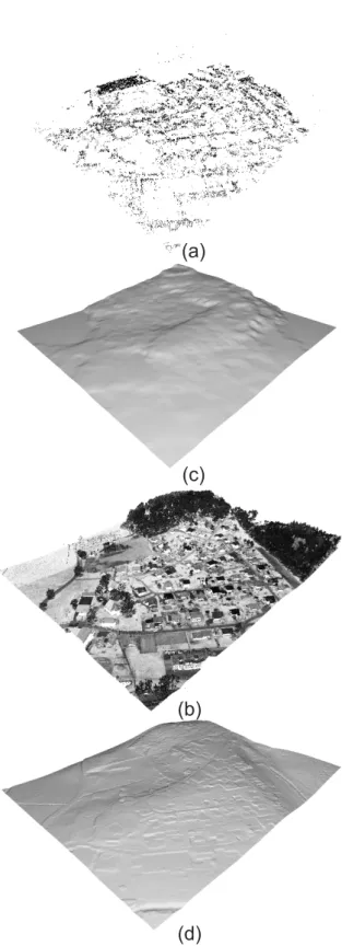 Figure 1: Estimation of DTM from (a and b) stereo-pair images and (c and d) the reference LiDAR data.