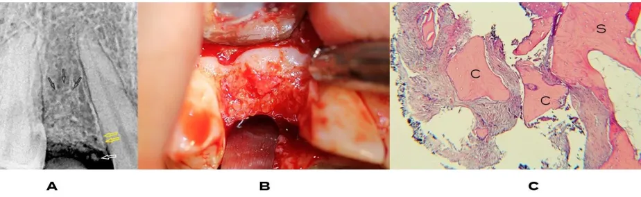 Figure 4:  7 Years 