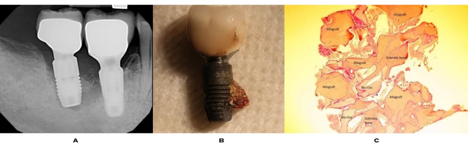 Figure 5:  10 Years 