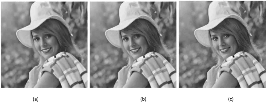Fig. 9.  Decoded Images of “Elaine” after encoding it Coding Scheme A for (a) 6 passes, (b) 7 passes and (c) 8 passes 