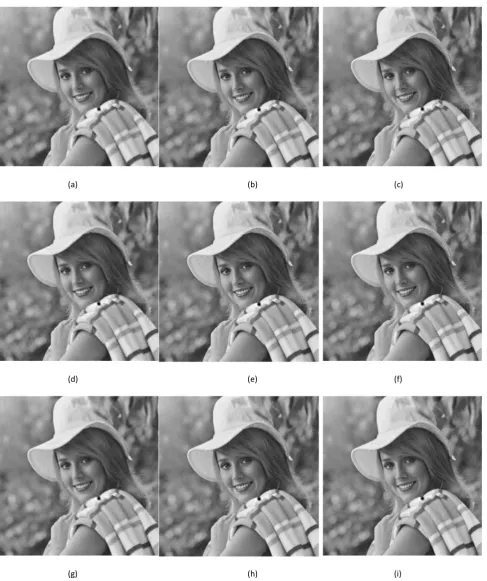 Fig. 11.  Decoded image of “Elaine” after encoding it by coding scheme C by setting DRP=3 for (a) 6 passes, (b) 7 passes and (c) 8 passes, setting DRP=4 for (d) 6 passes, (e) 7 passes and (f) 8 passes and setting DRP=5 for (g) 6 passes, (h) 7 passes and (i
