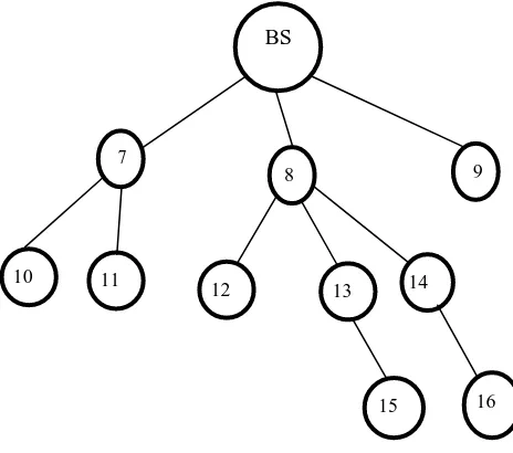 Fig. 2 Tree Topology of WSNs 