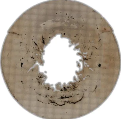 Fig. 1. Meridional section of the shell. Panoramic picture of the polished section surface used to study the damaged state