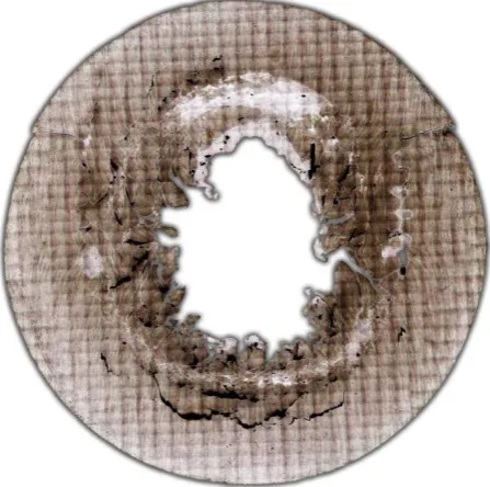 Fig. 11. Recompaction of cracks with melting traces along edges. 