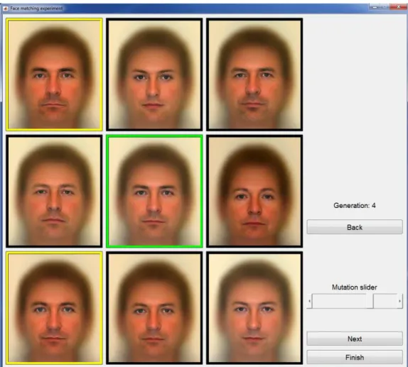 Figure 1: Screenshot of the interface for the IGA