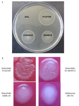 Fig. S3.Basic phenotyping tests. (cladeA) Comparative 140-mm swim plate showing the intermediate phenotype of two nonclassic S