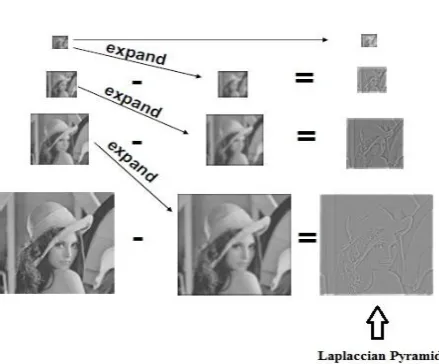 Figure 1: Overview of the Video Motion Magnification