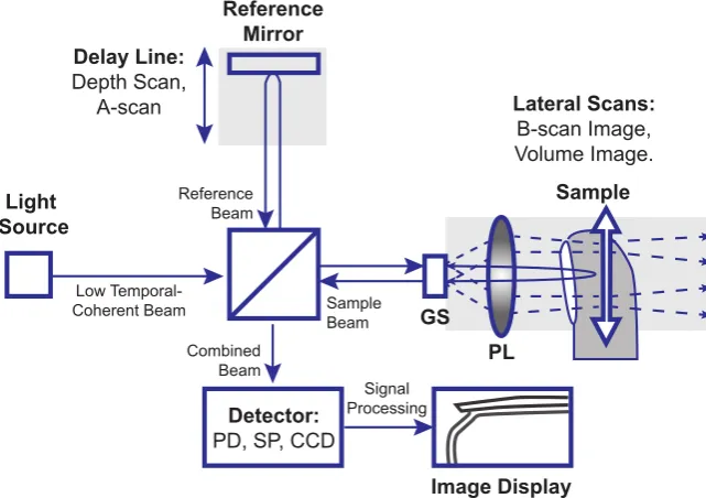 Fig. 2.3 Basic configuration and components of an OCT system. Light source: a lowtemporal-coherence light source