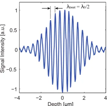 Fig. 2.5 A time-domain OCT interferogram with cycle length λbeat equal to half the sourcecentral wavelength λ0.