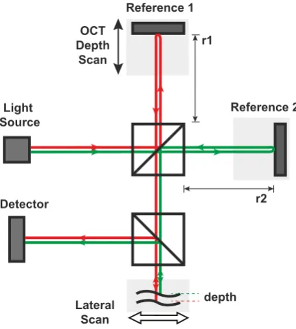 Fig. 2.6 Time-domain OCT in dual beam scheme. The splitting beam paths are highlighted
