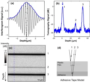 Fig. 3.4 (a) Interferogram signal and the derived envelope signal (b) A-scan signal ortomography signal in logarithmic scale, the main (first) peak (c) B-scan image presented inlogarithmic scale with intensity and dimension scale bars (d) OCT light reflections within anadhesive tape model in correspondence with (b) and (c)