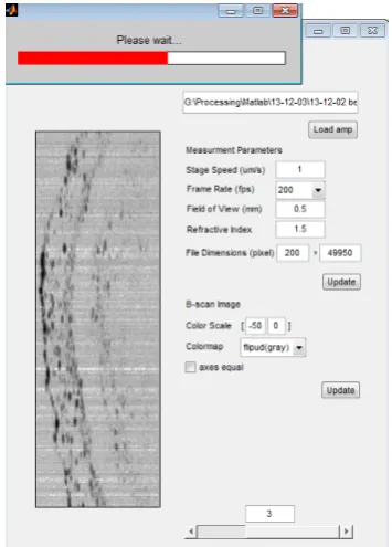 Fig. 3.5 GUI for browsing the FF-OCT B-scan images.