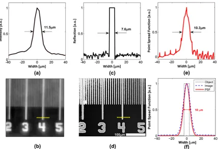 Fig. 3.11 (a) An OCT profile of the test scale line with a width of 11.5 µm; (b) an OCT imageof the test scale line; (c) an object profile of the test scale line with a width of 7.6 µm; (d) amicroscopy image of the test scale line; (e) a transverse PSF profile of the OCT system witha width of 10.3 µm; and (f) a PSF profile computed from the simulated dashed OCT profileand dotted object profile — the resultant width of the PSF is 10 µm.