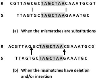 Figure  1:  When  there  are  2  mismatches  between  the  siRNA  sequence  (S)  and  the  off-target  region  (R),  at  least  one  of  the  three  substrings  of  S  has  the  exact  match with R