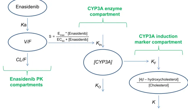 Figure 1 semi-mechanistic PK/PD model.