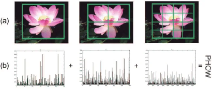 Figure 3: Image appearance representation based on PHOW.