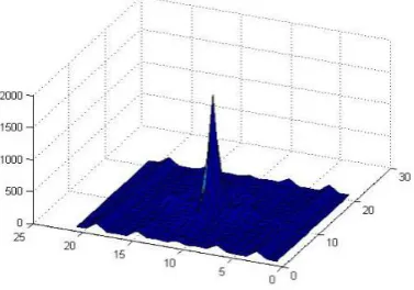 Fig. 8.  Illustration of the Cartesian approximation of the AFMT of the  image in Fig.7 