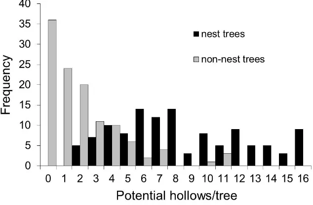 Figure 3. Box plot summarising diameter at breast height (DBH) for Swift Parrot nest trees and random trees 