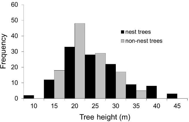 Figure 4. Frequency distribution of tree heights 