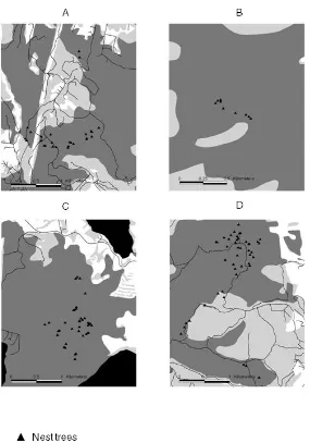 Figure 5.  Spatial distribution of nest trees and forest age. A- Fern Tree, B- Maria Is., C- 