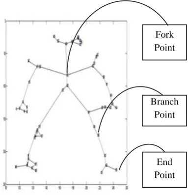 Figure 2. Example of skeleton of 2D image 