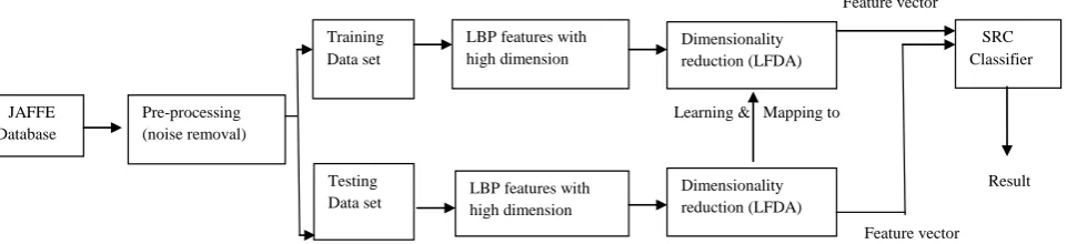 Fig 4: Samples of JAFFE images after preprocessing. 